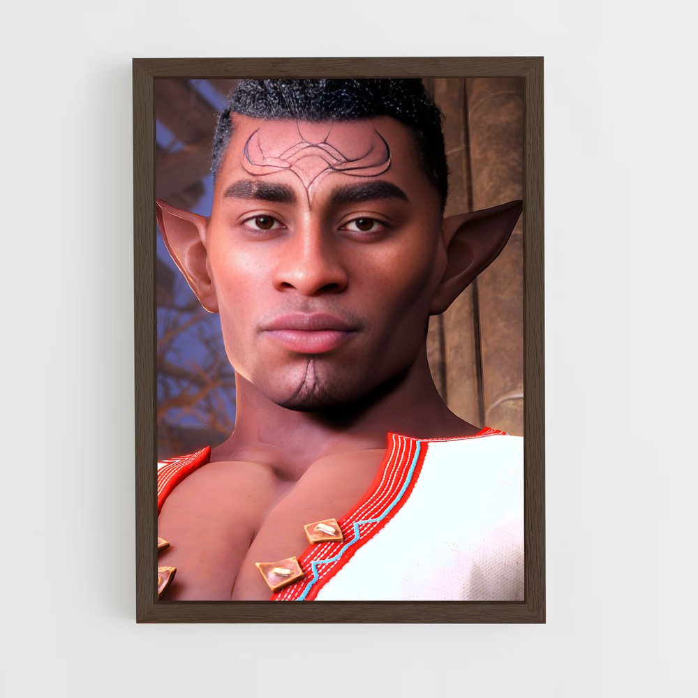 Poster Warden des Ombres – affiche Dragon age (vue 5)